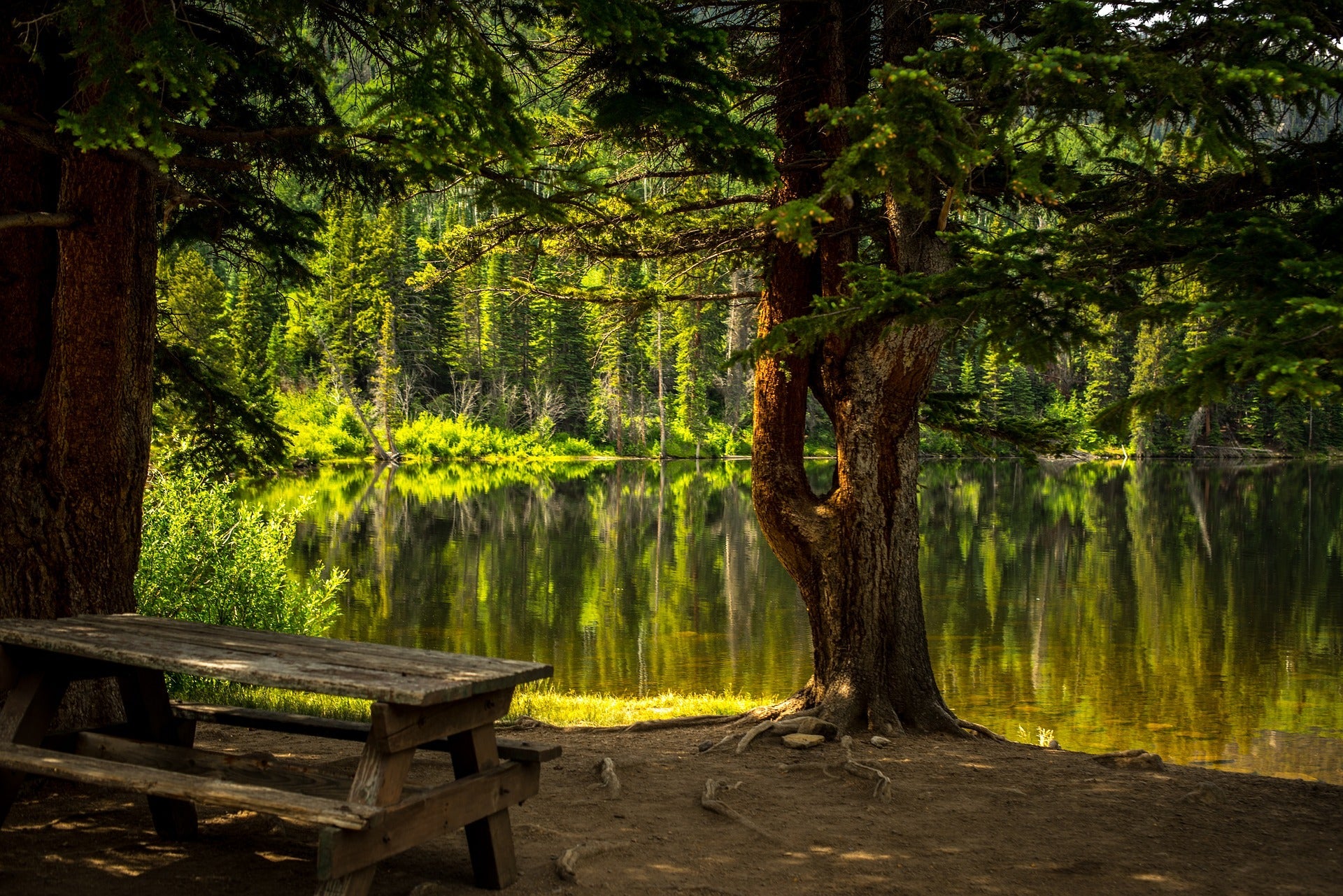 Pre-planning your funeral ceremony. Should you do it now? - Pulvis Art Urns