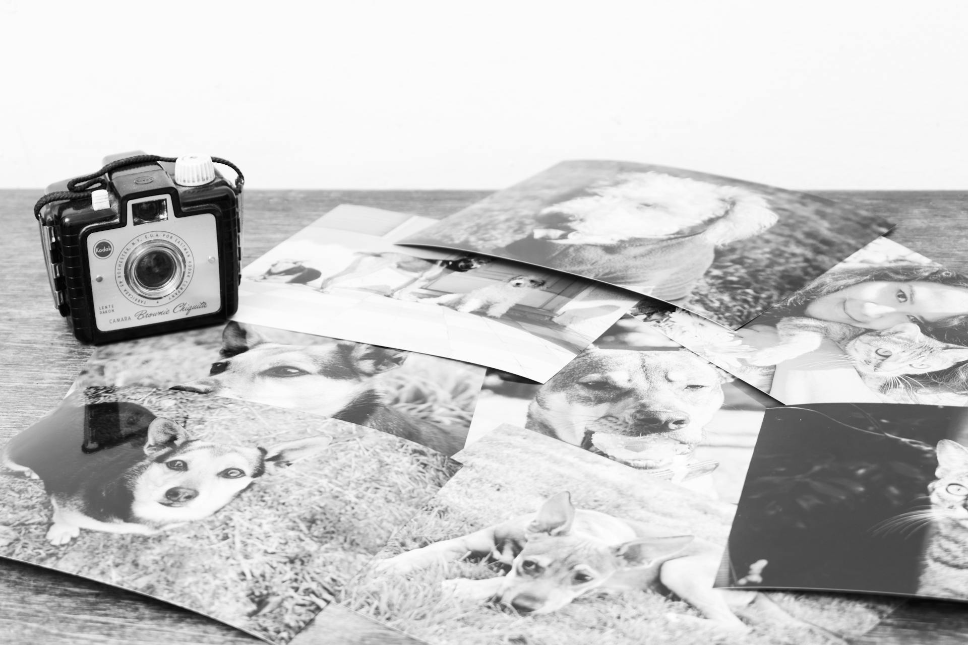 Pet Memorials – 12 Dos and Don’ts