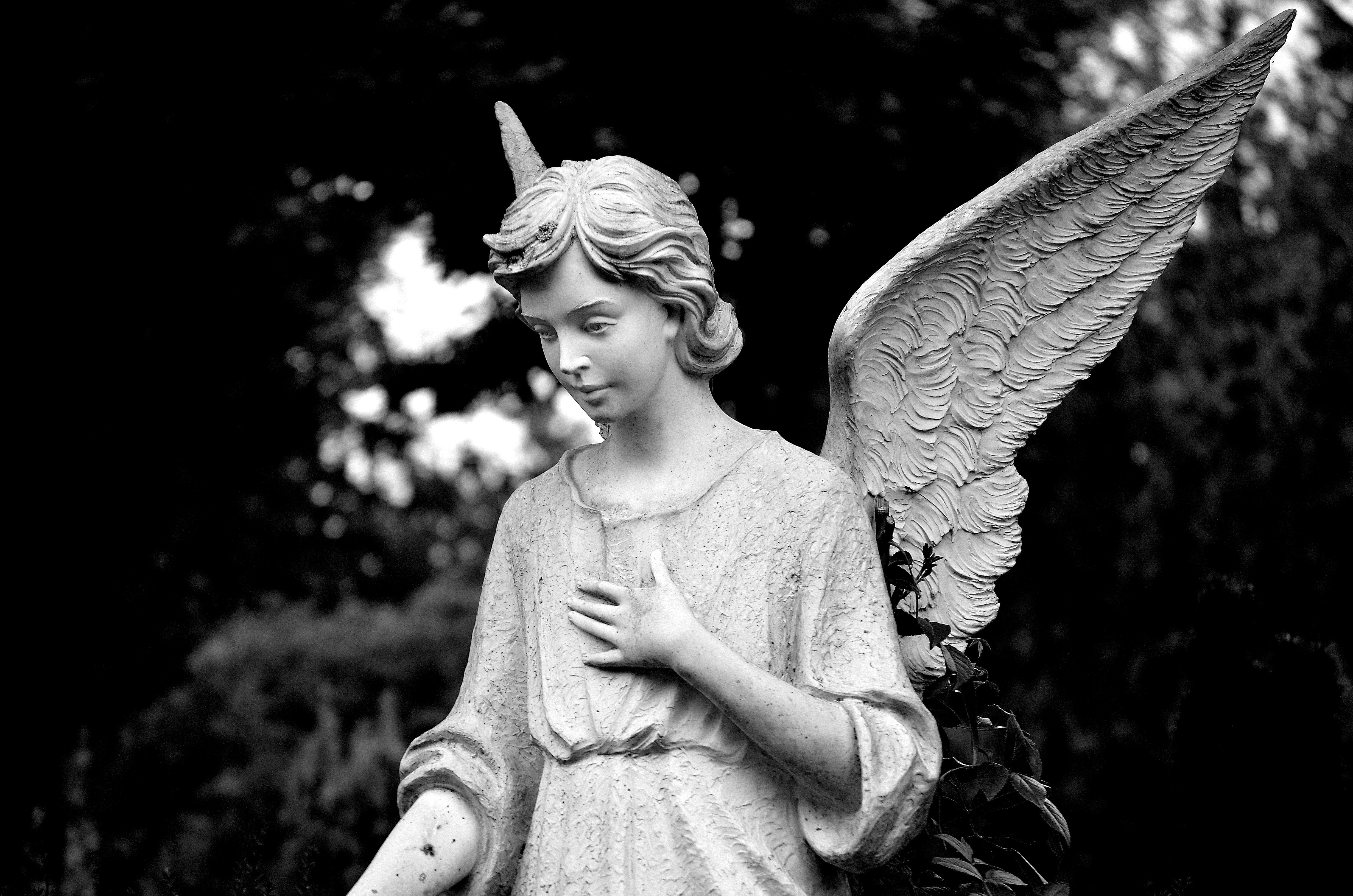 The Idea of Death - Pulvis Art Urns