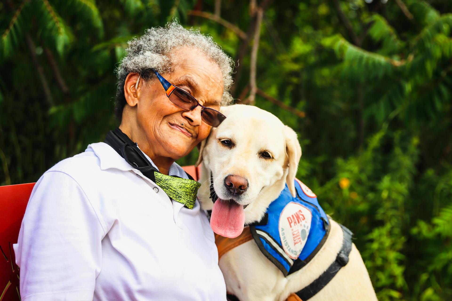Ceramic Memorial Urns That Serve Both Humans & Pets