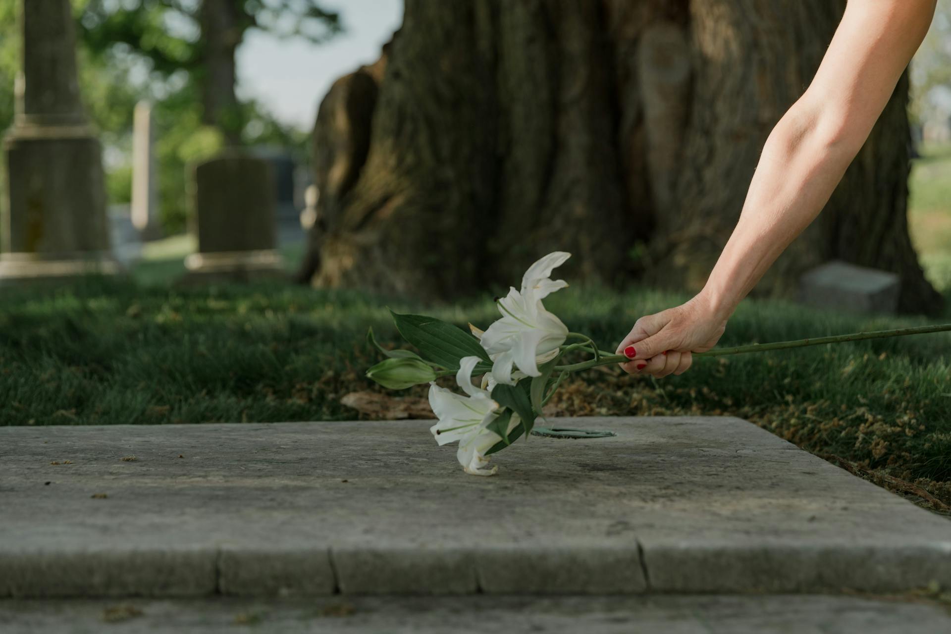 'Atheists and Death – A Basic Guideline for Understanding' Blog by Pulvis Art Urns