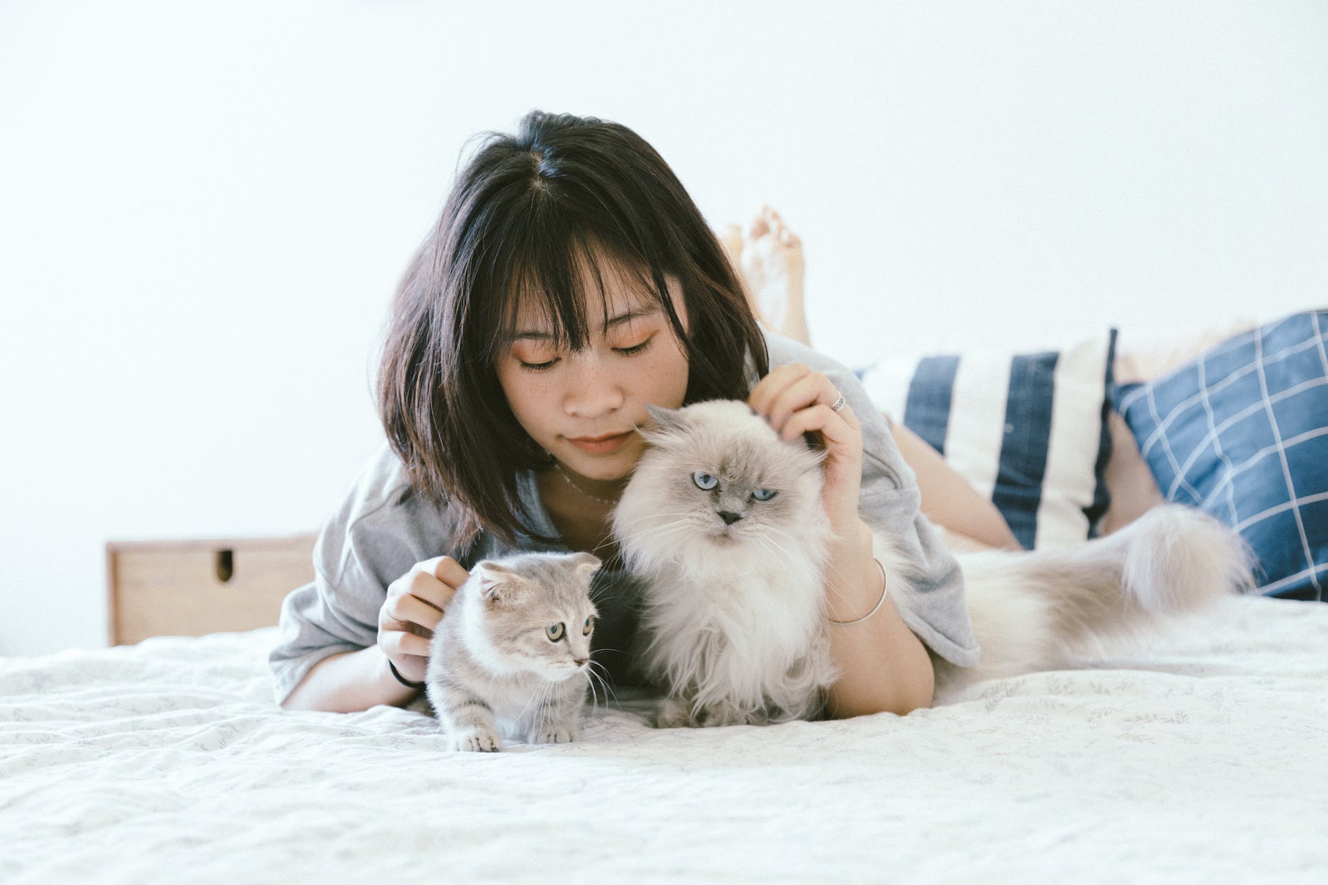 Pet End of Life Care – Short Guide for Pet Owners - Pulvis Art Urns