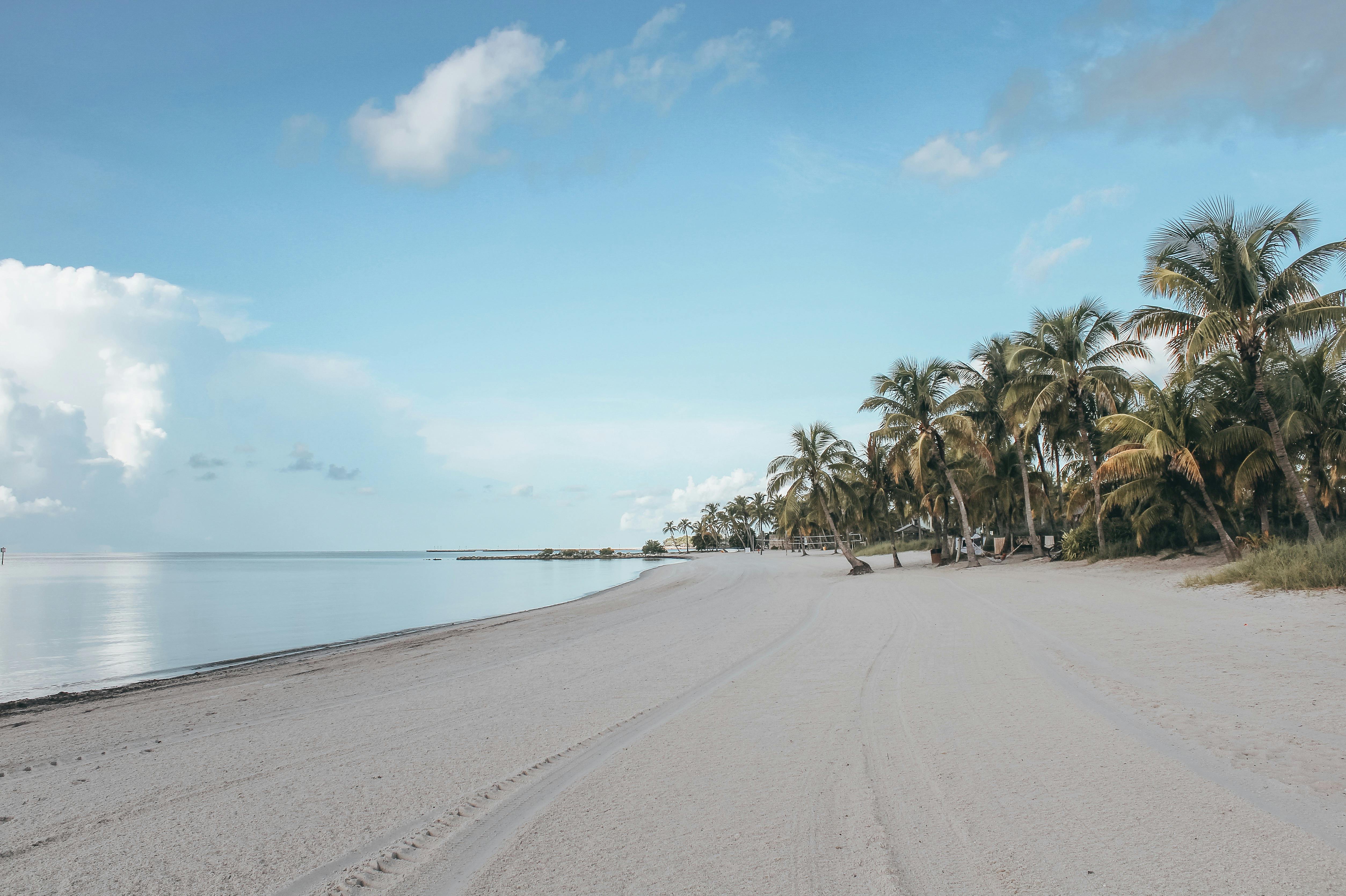 Easy Guide to Funeral Homes in Florida
