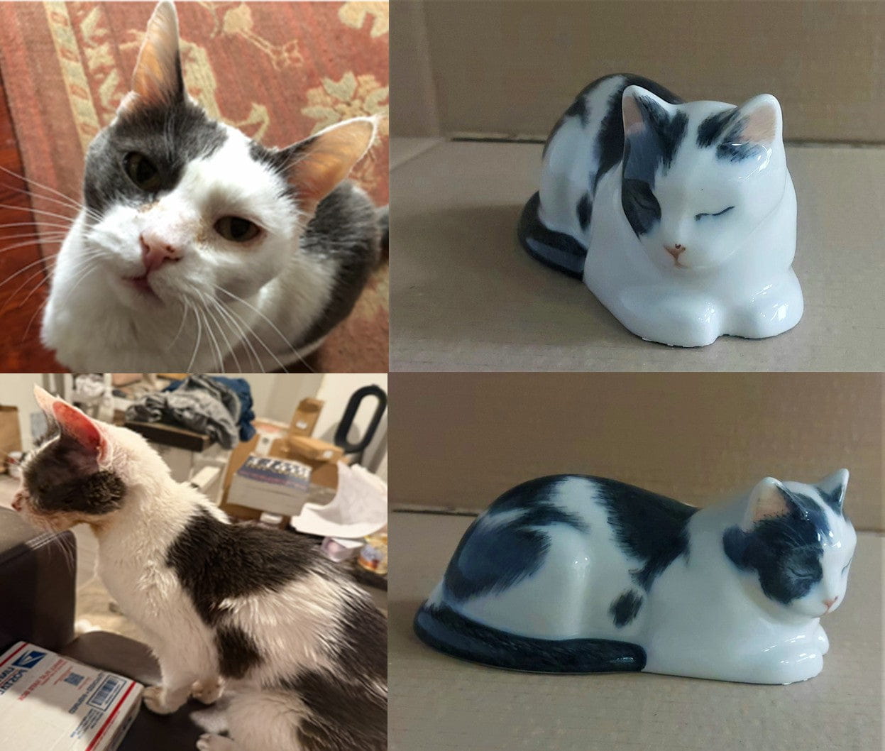 Custom Decorated Pet Urns by Photo