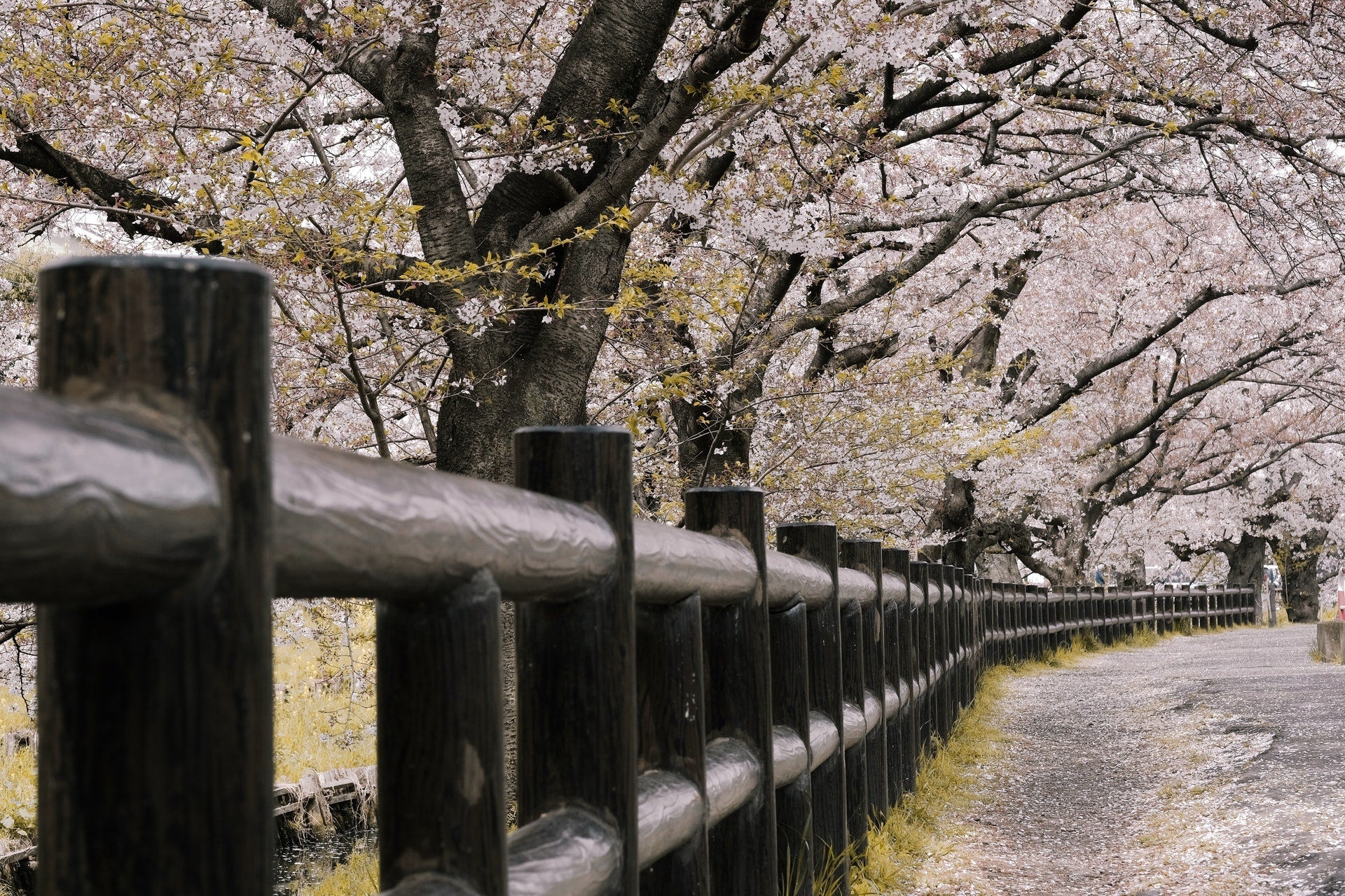 Japanese Funeral Traditions: The Cremation Ceremony - Pulvis Art Urns Blog