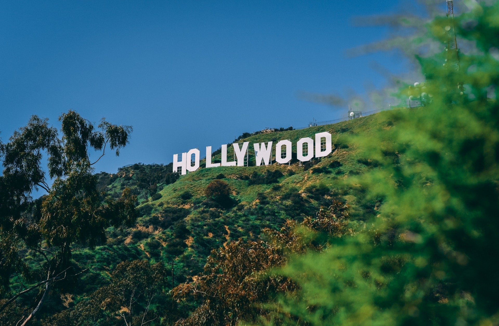 Celebrities and cremation - Article in Blog by Pulvis Art Urns