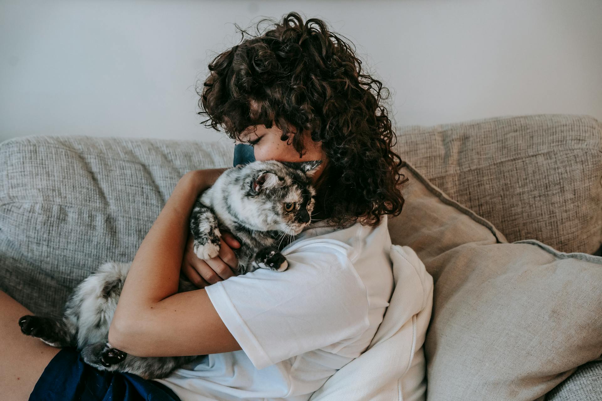 Essential Legal Steps to Take When Your Pet Passes Away. A Compassionate Legal Guide.
