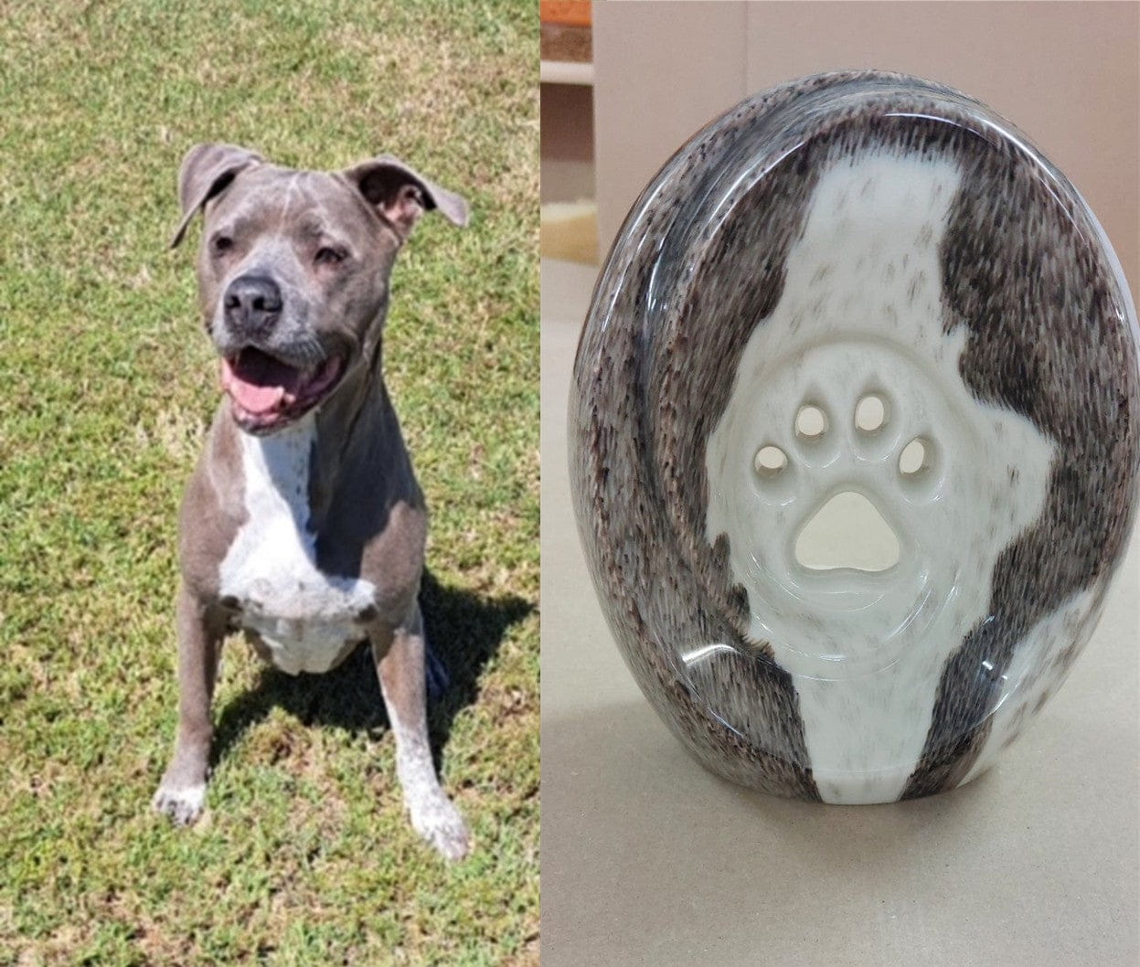 Custom Decorated Pet Urns by Photo 
