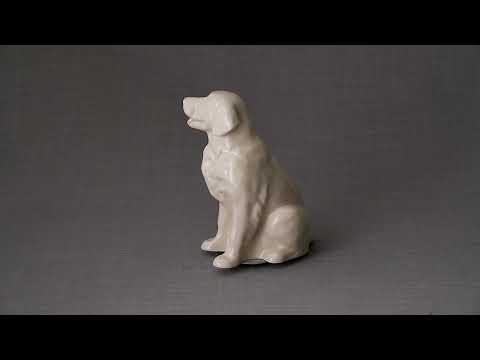 Golden Retriever Pet Urn - Transparent | Ceramic Urn