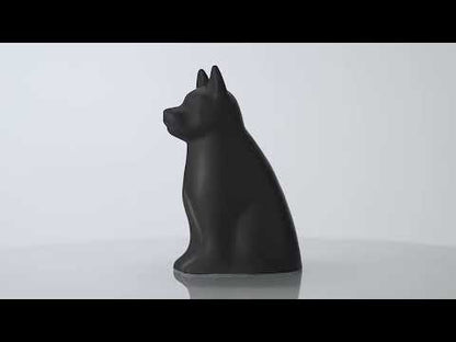 Dog Urn Video For Ashes