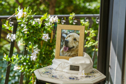 Cremation Urn "Cozy" - White Matte | Ceramic Picture Frame Urn - Pulvis Art Urns