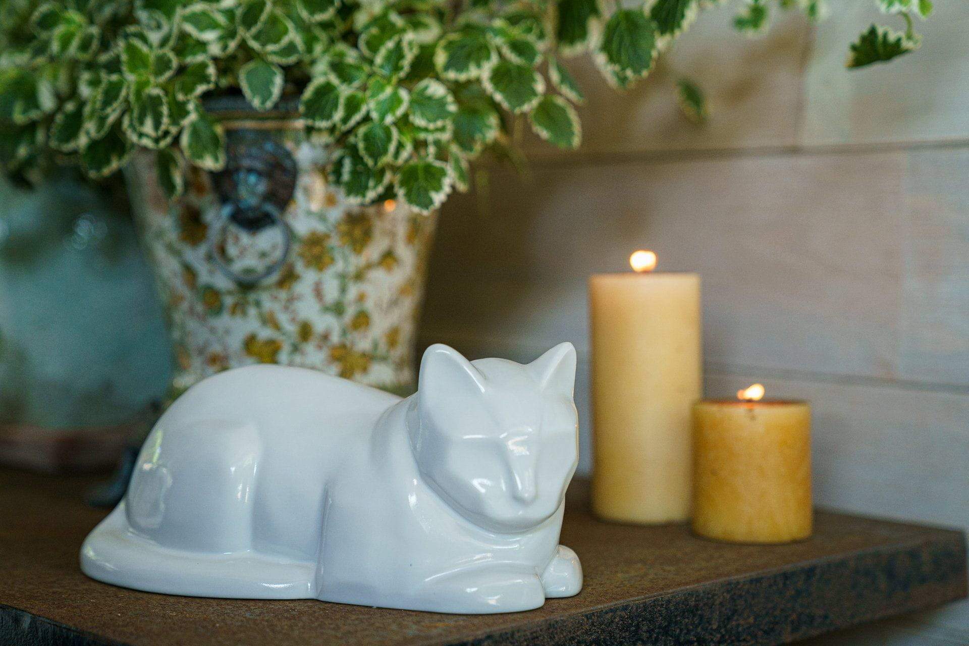 Cat Cremation Urn for Ashes - Pearly White | Ceramic | Handmade Pet Urn - Pulvis Art Urns