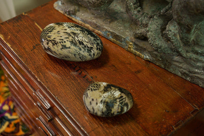 Mini Reptile Urn - Beige | Ceramic | HydroGraphics - Pulvis Art Urns