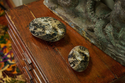 Mini Reptile Urn - Beige | Ceramic | HydroGraphics - Pulvis Art Urns